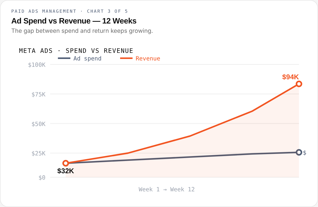 Paid Ads Management — chart 3 of 5