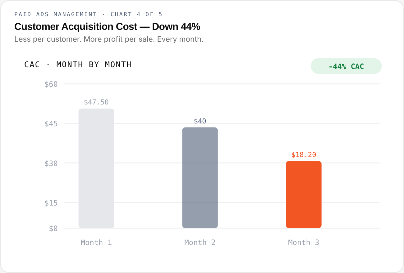 Paid Ads Management — chart 4 of 5